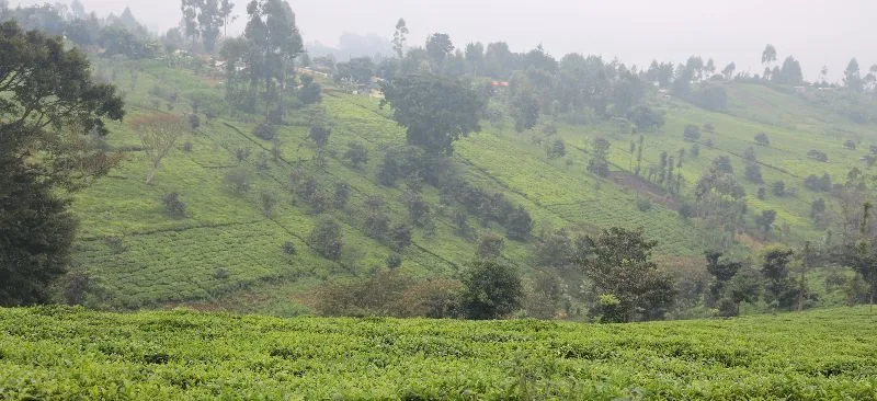 Agriculture Value Chain Financing: Role of MFIs
