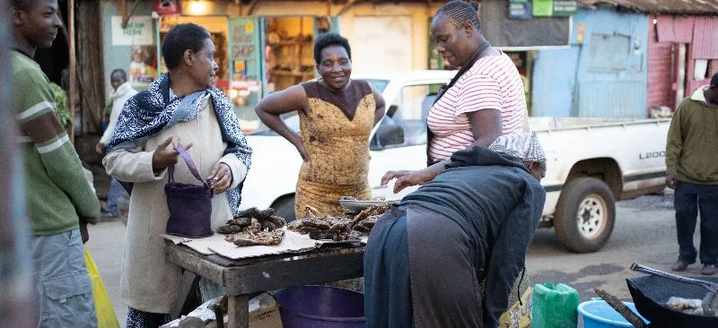 Microinsurance Regulation: What drives the sector?