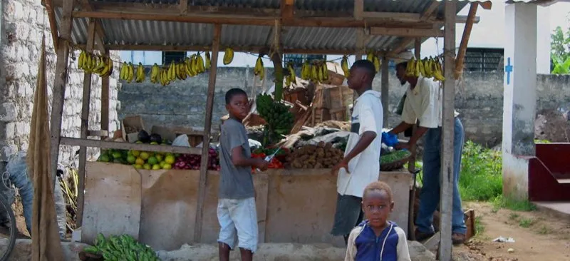 Drones Providing Confidence in Smallholder Agriculture Finance-1