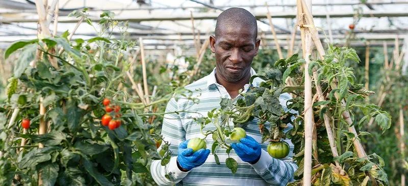 Overcoming Barriers of Financing Agribusinesses in East Africa-2