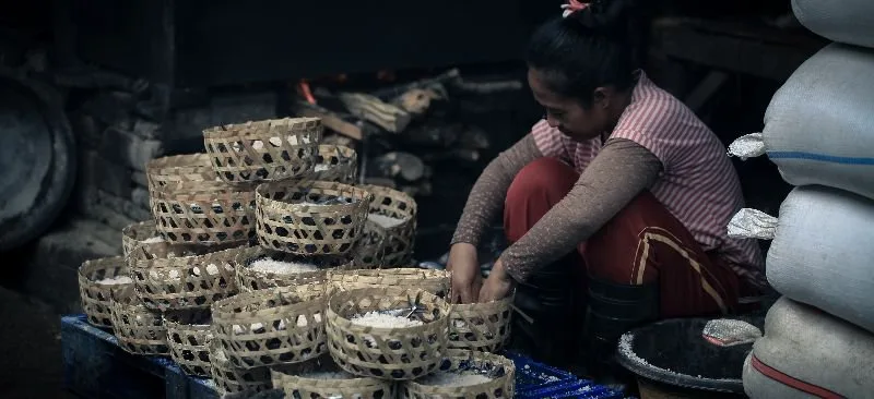 MSC’s Government and Social Impact domain: Aiding governance, bettering lives