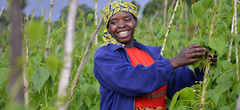 Financial Literacy Toolbox to build the skills of SMEs in Kenya and Tanzania