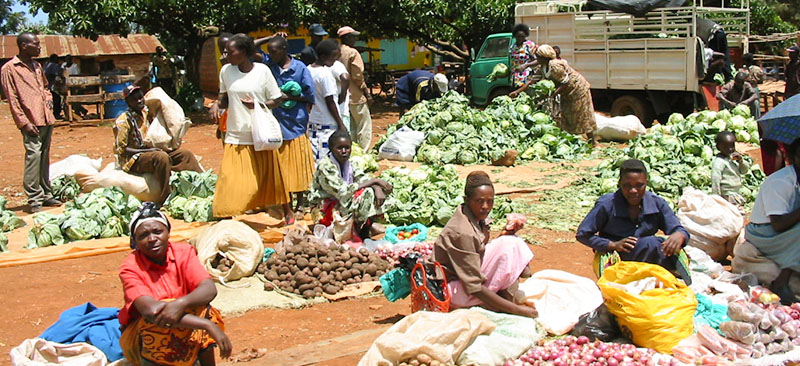 Financial education pilot for smallholder farmers in Kenya