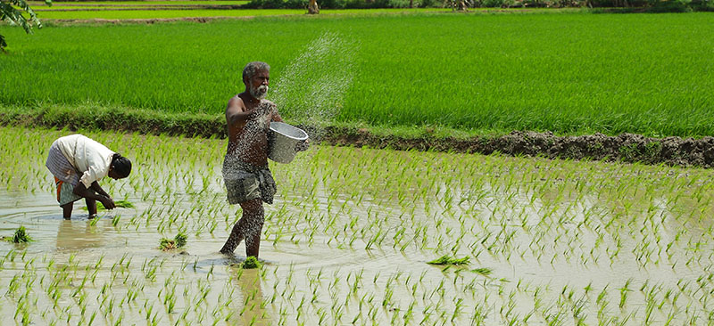 Soil Health Card communication for farmers