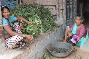 Indian village women smiling