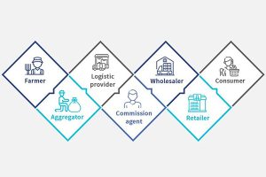 Local agriculture supply chain