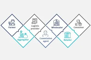 Local agriculture supply chain