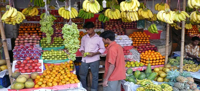 social-assistance-and-information-in-the-initial-phase-of-the-pandemic-lessons-from-a-household-survey-iin-india