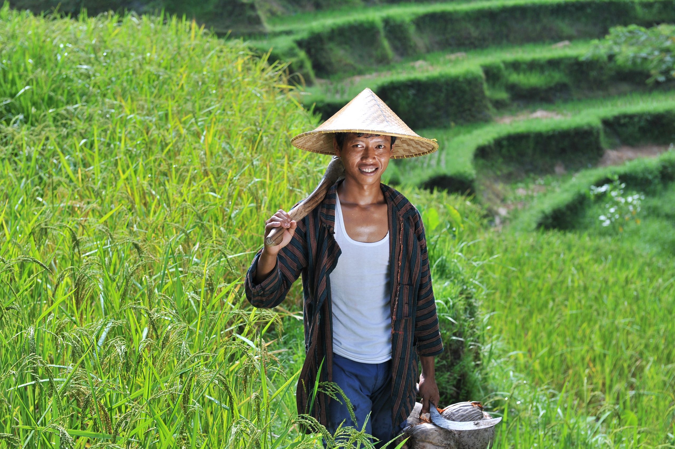 Market research to understand the financial needs of youth in Indonesia