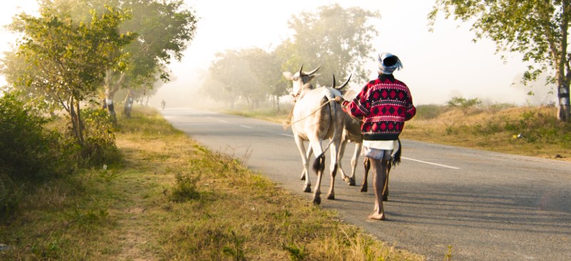 The Government of India’s flagship rural road construction project, the Pradhan Mantri Gram Sadak Yojana (PMGSY)