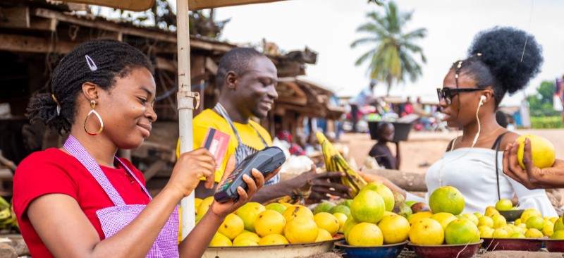 Public Finance Management ecosystem scoping study for Uganda and Nigeria