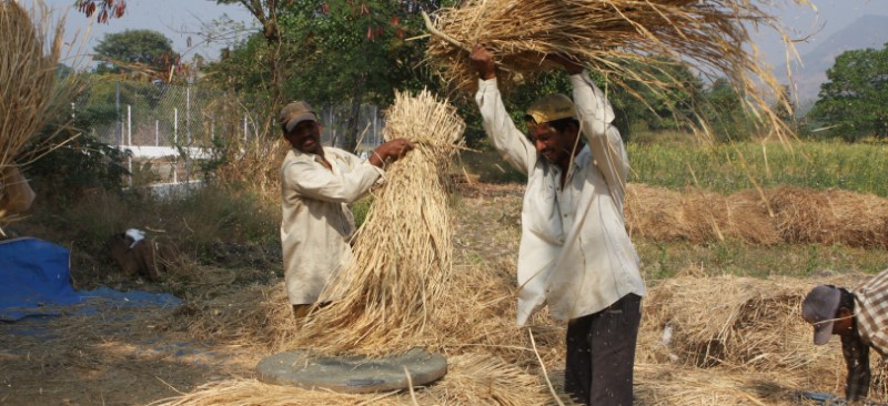 Urban Wage Employment Initiative Scheme, MUKTA