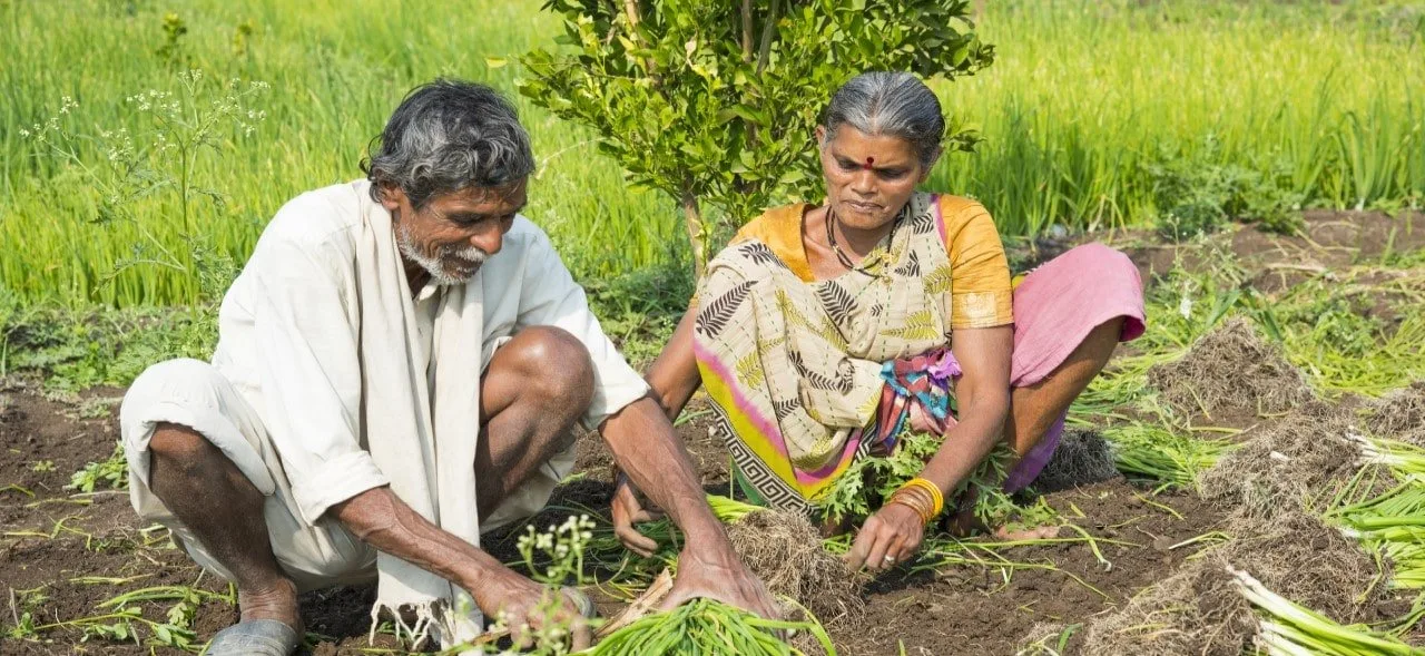 Comparative analysis of PM Kisan, KALIA, and Rythu Bandhu
