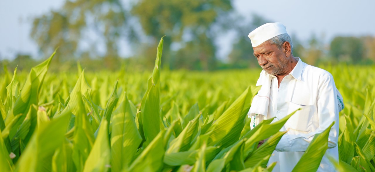 Challenges in the PM Kisan program