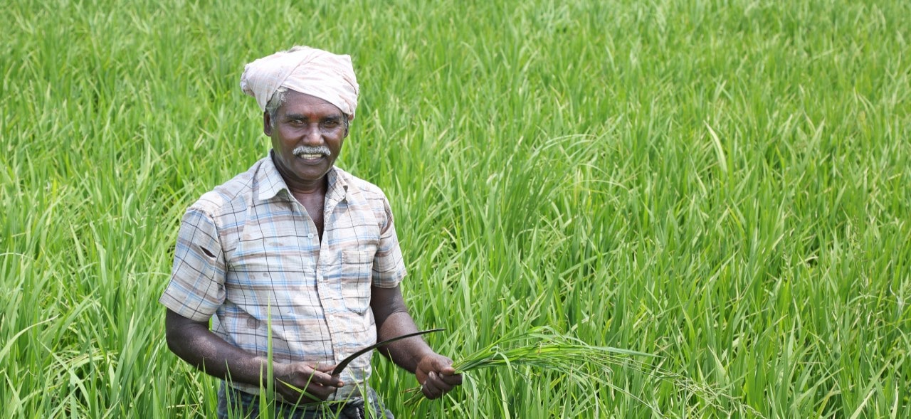 Are agtechs a panacea for farmer adoption of climate resilient agriculture?