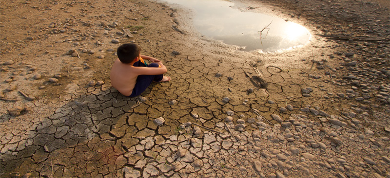 Highlights of the webinar on “climate-resilient agriculture, virtual breakfast club”