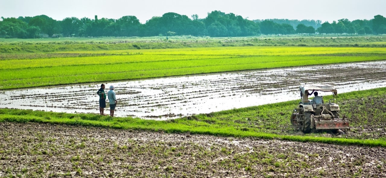 Advancing climate-resilient agriculture in India: Key lessons and challenges