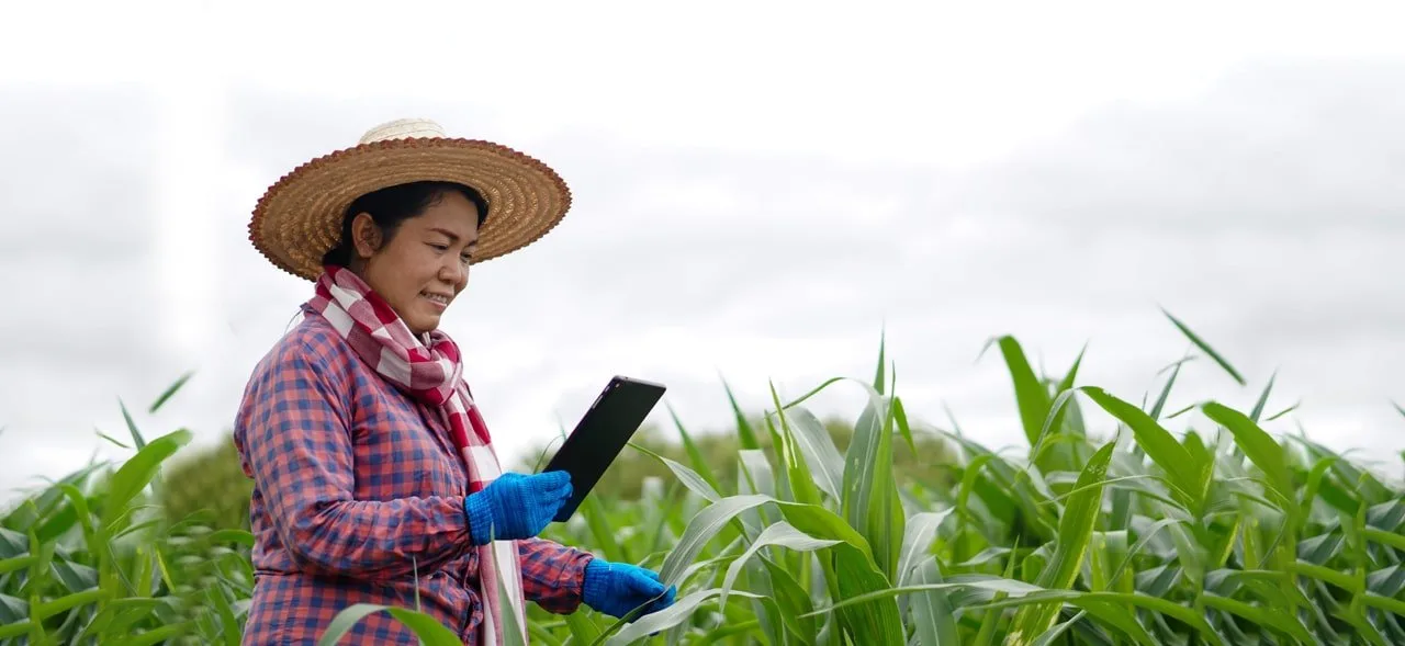 Digital financial capability—revealing teachable moments through phygital (physical + digital) channels
