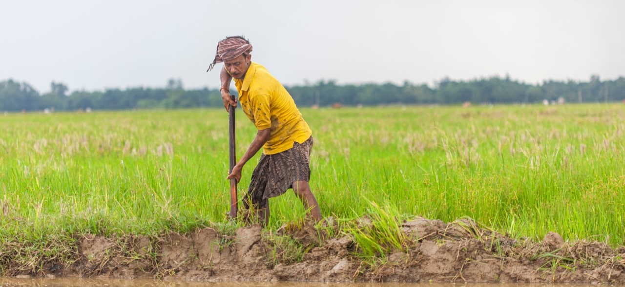 Impact of climate change on smallholders and their coping strategies