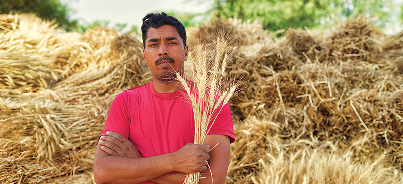 Transformation of India’s food system by unlocking the Public Distribution System’s potential