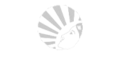 Shakti Foundation