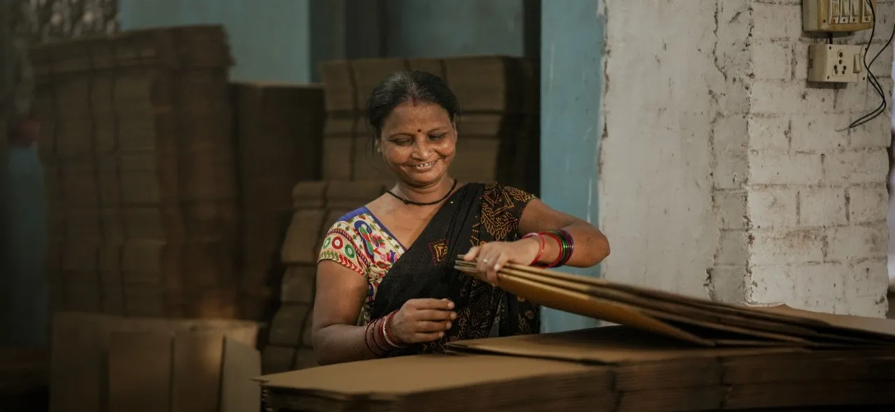 Decoding the financial health of women-owned microbusinesses, India