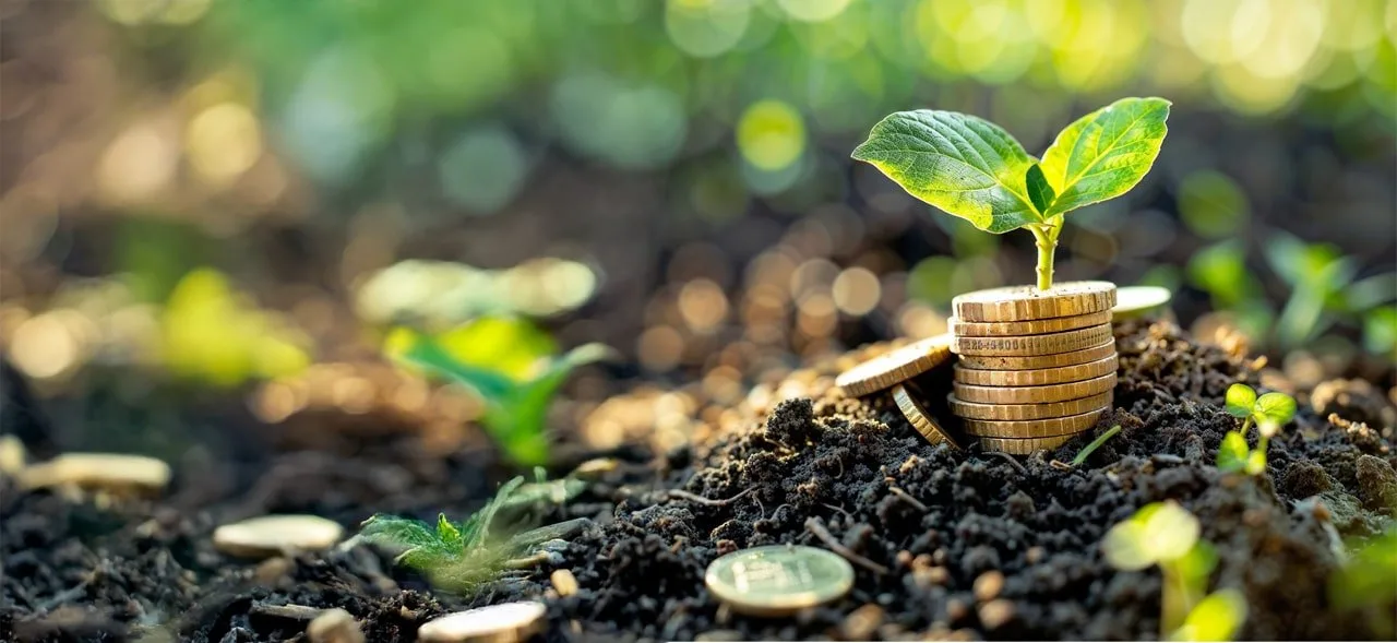 Development of a risk management framework for Sonata Finance Private Ltd-min