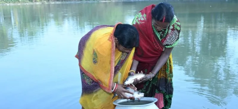 JEEViKA Special Purpose Vehicle for Agriculture Transformation (JSPVAT) Fisheries support to the Government of Bihar (2)
