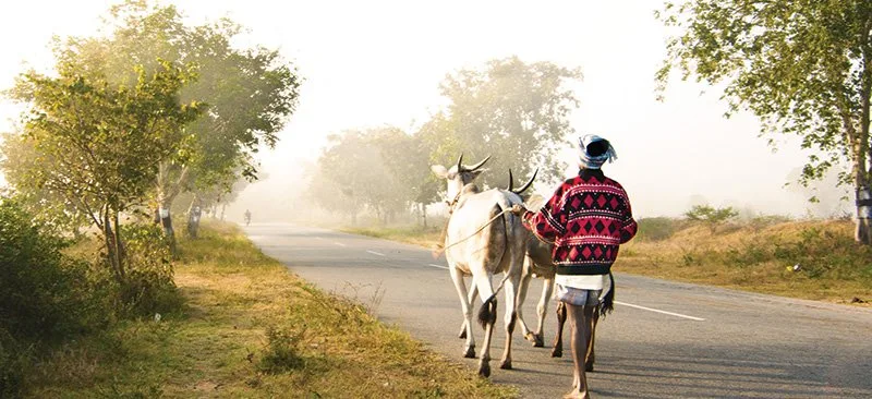 Revolutionizing-rural-connectivity_-MSCs-smart-solutions-for-PMGSY_MSC