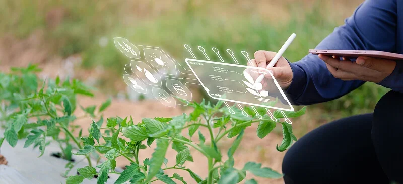 Scaling-of-AgTech-innovations-for-food-security-in-India-Indonesia-and-Kenya-thumbnail