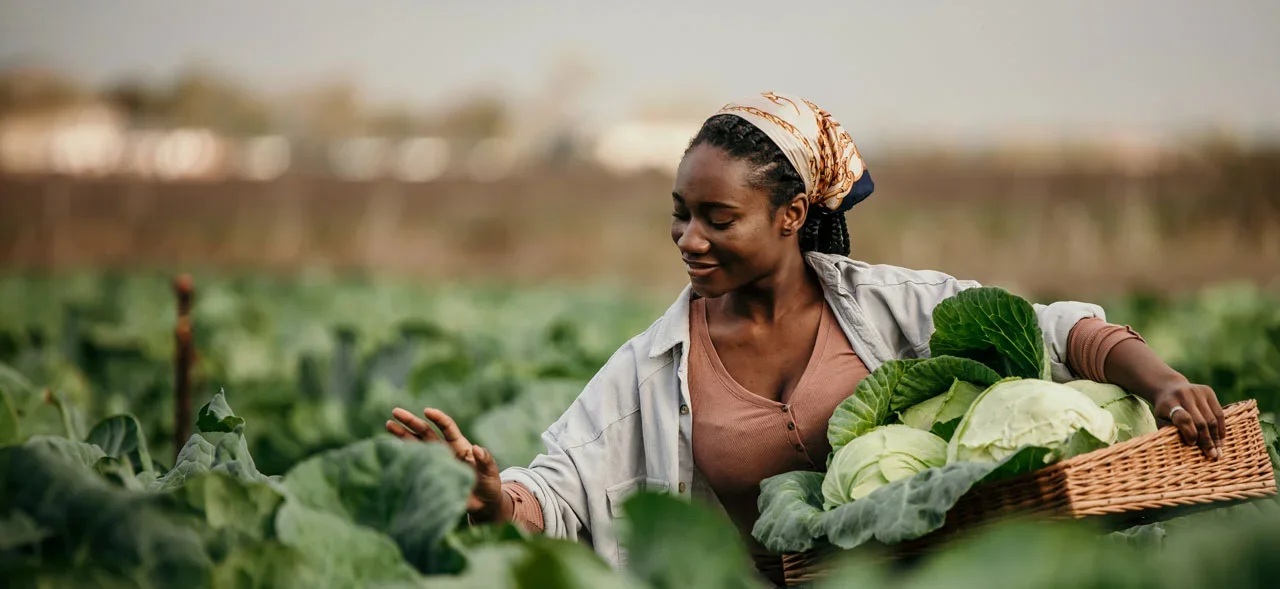 Strengthening-youth-agripreneurship-ecosystems-in-Sub-Saharan-Africa-1