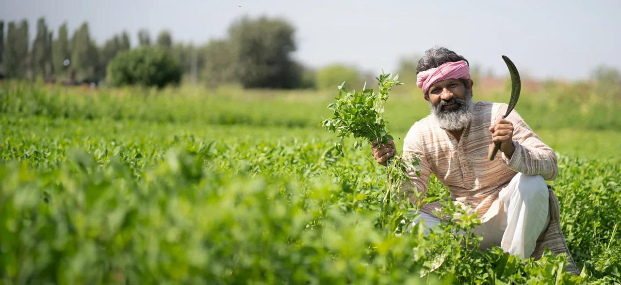 Transforming-agriculture-and-empowering-rural-livelihoods-in-India