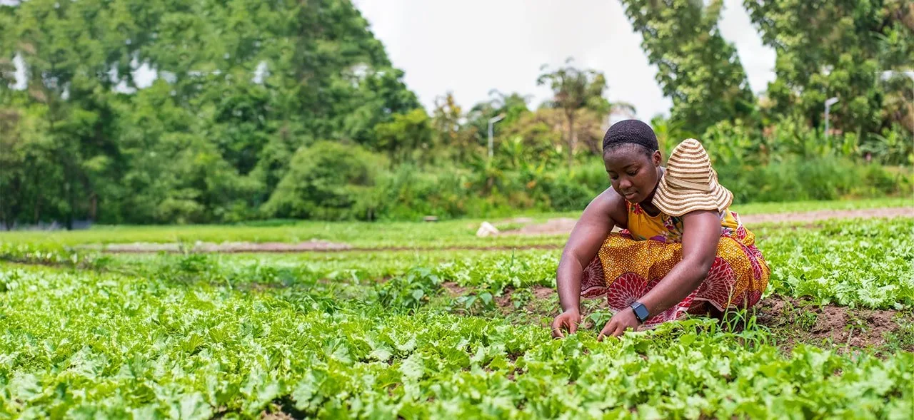Youth-in-agriculture-ecosystems-development-framework-min