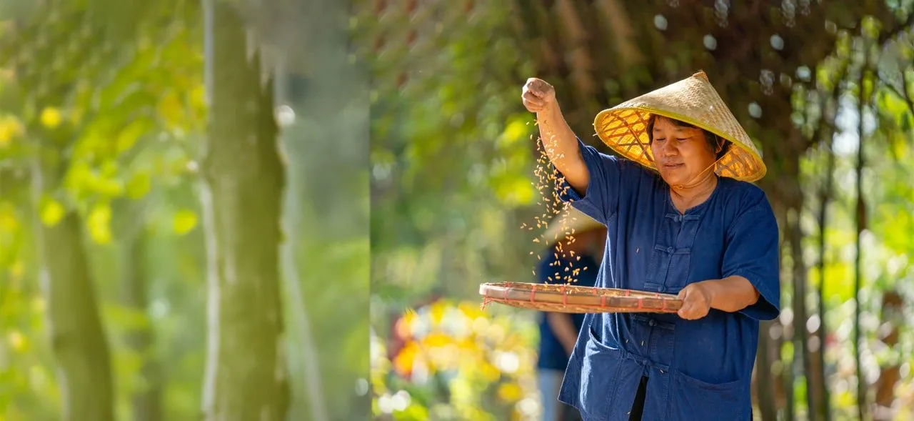 Expanding-inclusive-access-to-social-protection-in-Indonesia-min