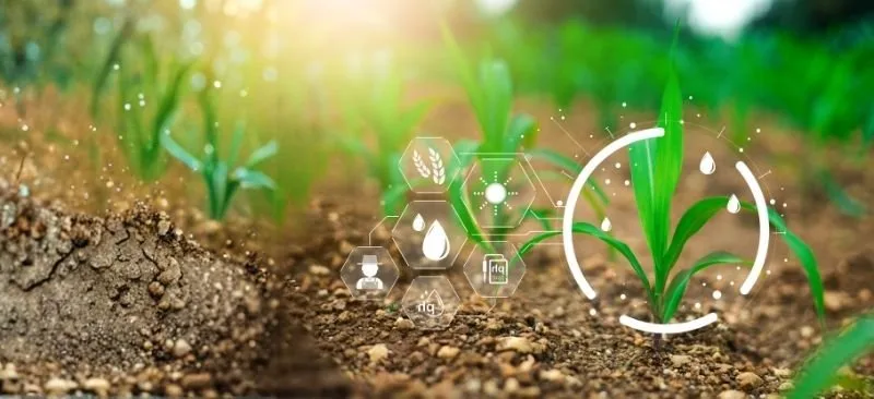 Earth Futures series: Identifying high-impact pathways for climate-smart livelihoods in the food and circularity sectors